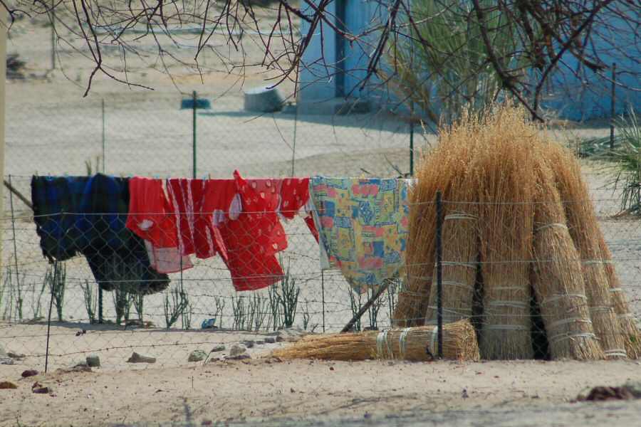 laundry and bundles of reeds 