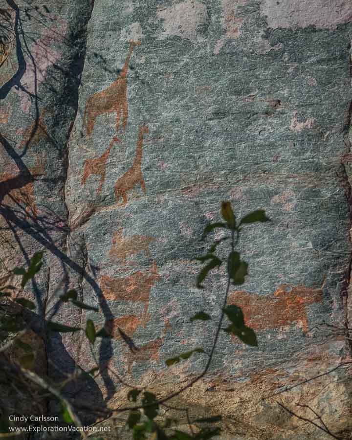 pictographs on a rock wall