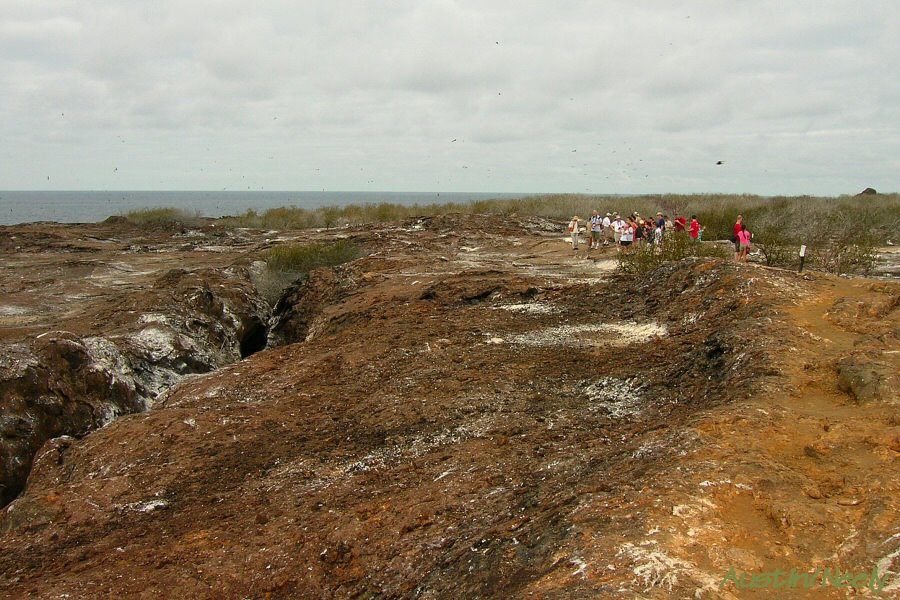 Galapagos landscape