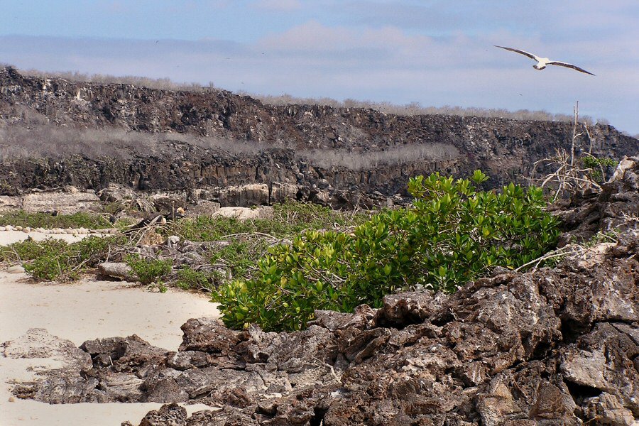Galapagos scenery