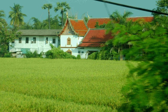 rural Thailand