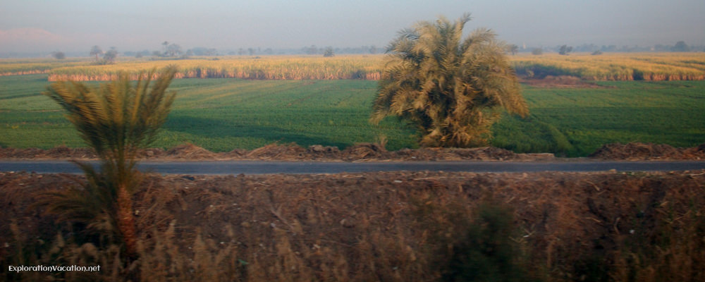 green Nile Valley scenery
