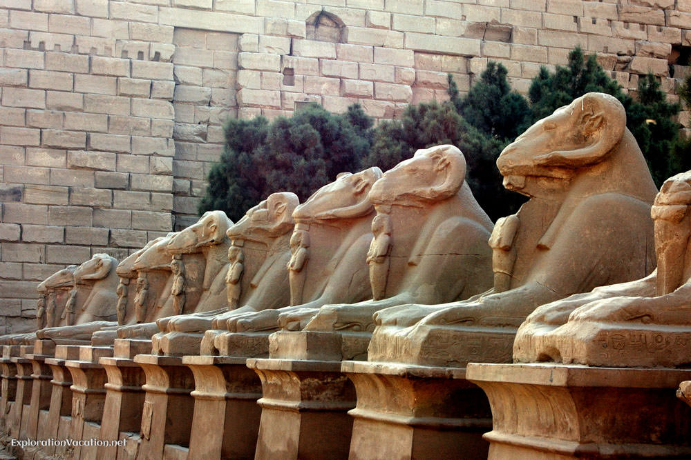 rams at Karnak 