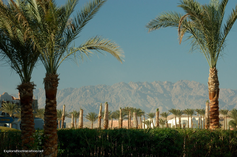 New development with palm trees and mountains in the background