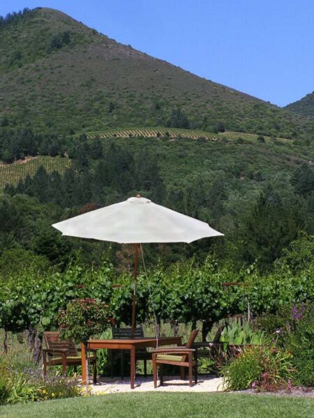 Table and chair in a vineyard with mountains in the background.