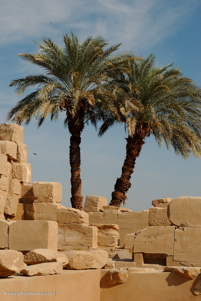 Two palm trees behind the remains of a wall.