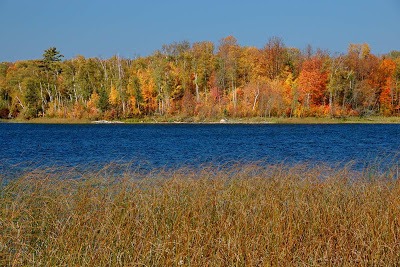fall along a northern lake