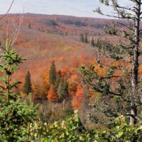 fall leaves along the north shore