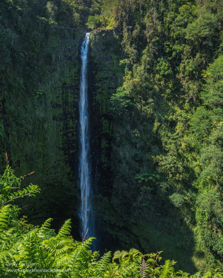 photo of Akaka Waterfall north of Hilo on the Hawaiian island of Hawaii (Photos and story &copy; Cindy Carlsson at ExplorationVacation.net)