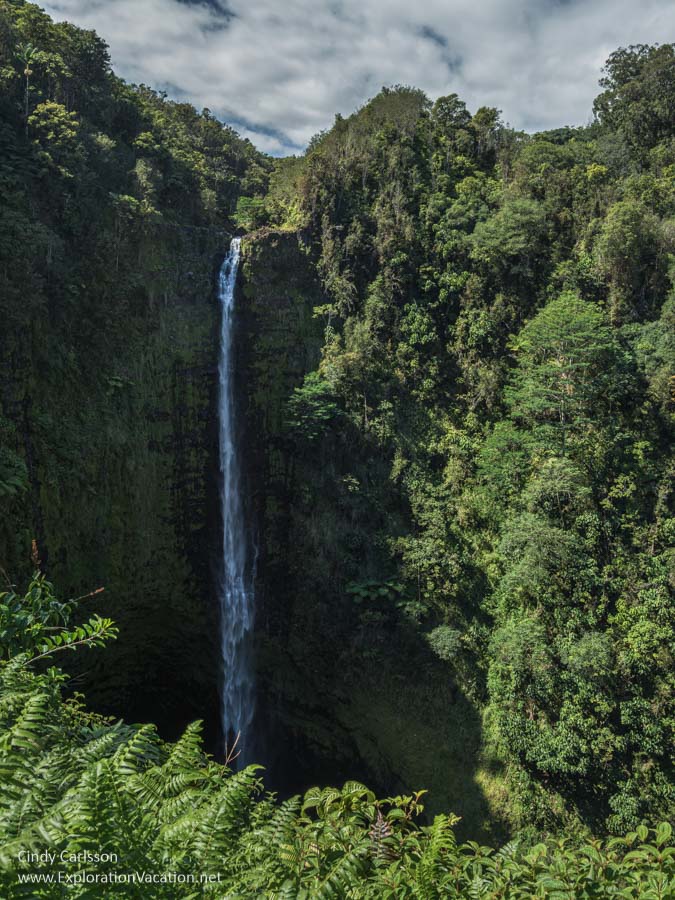Akaka Falls from the opposite side of the valley. 