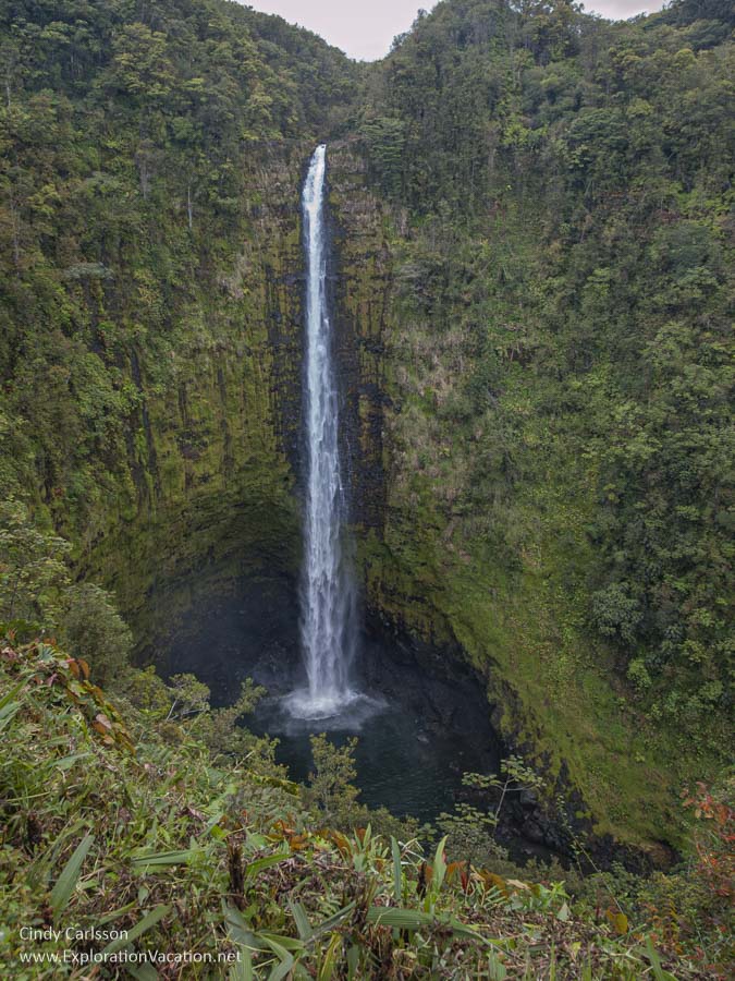 Akaka Falls near Hilo.