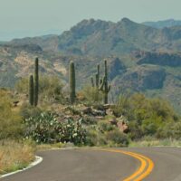 Apache Trail with saguaros Arizona - www.ExplorationVacation.net