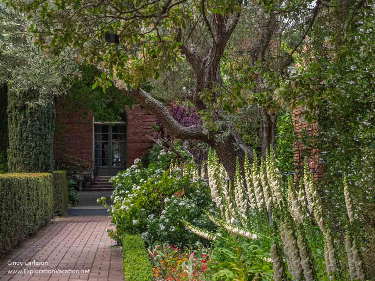 Photo of lush gardens at Filoli White flowers and trees along a brick walkway up to a brick building. 