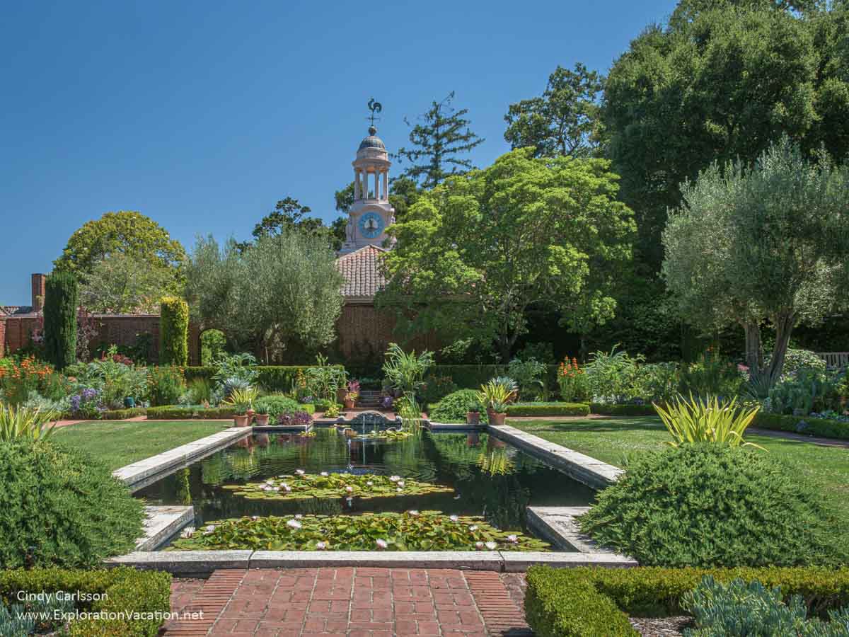 A large formal water lily pond in a landscaped lawn with a clock tower in the background.