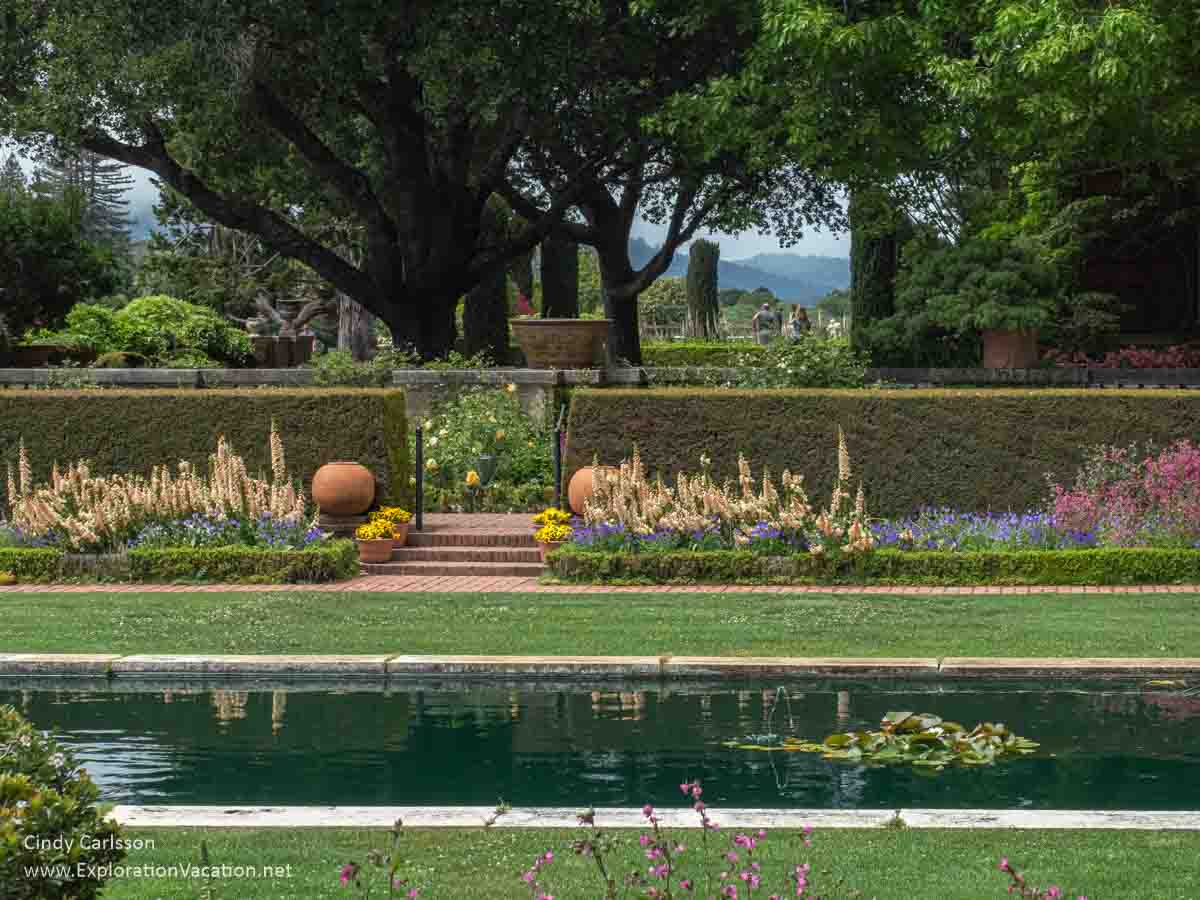 Shrubs, lawns, and gardens along a lily pool.