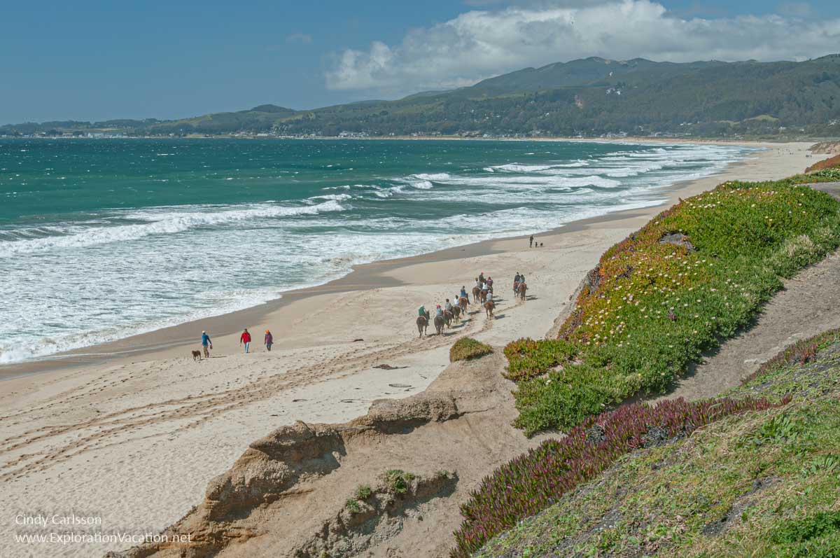 A sandy Pacific Coast beach taken from a ridge above, with people riding horses and walking along it. 