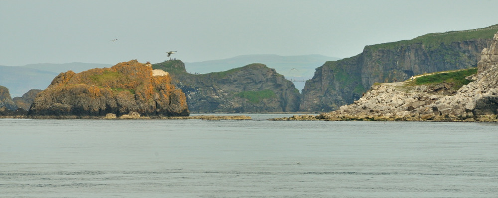 sea cliffs 