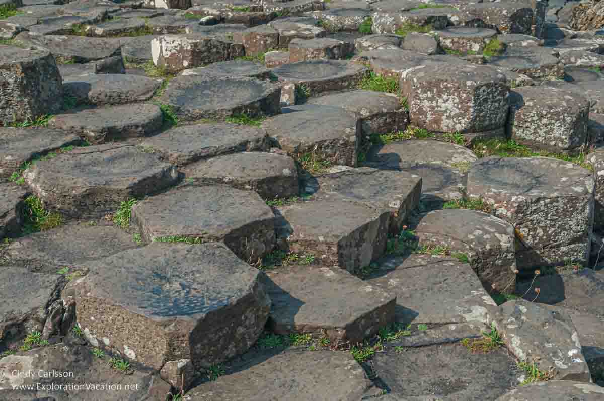 photo of "pavement" stones at the Giant's Causeway UNESCO World Heritage site in Northern Ireland &copy; Cindy Carlsson - ExplorationVacation.net