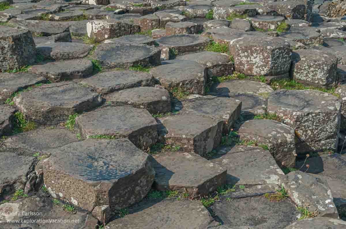 photo of "pavement" stones at the Giant's Causeway UNESCO World Heritage site in Northern Ireland © Cindy Carlsson - ExplorationVacation.net