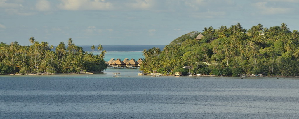 Bora Bora reef