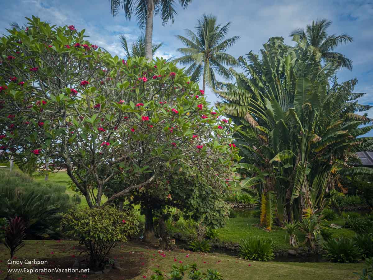 photo of the garden at the Royal Tahitian in Papeete, French Polynesia &copy; Cindy Carlsson at ExplorationVacation.net