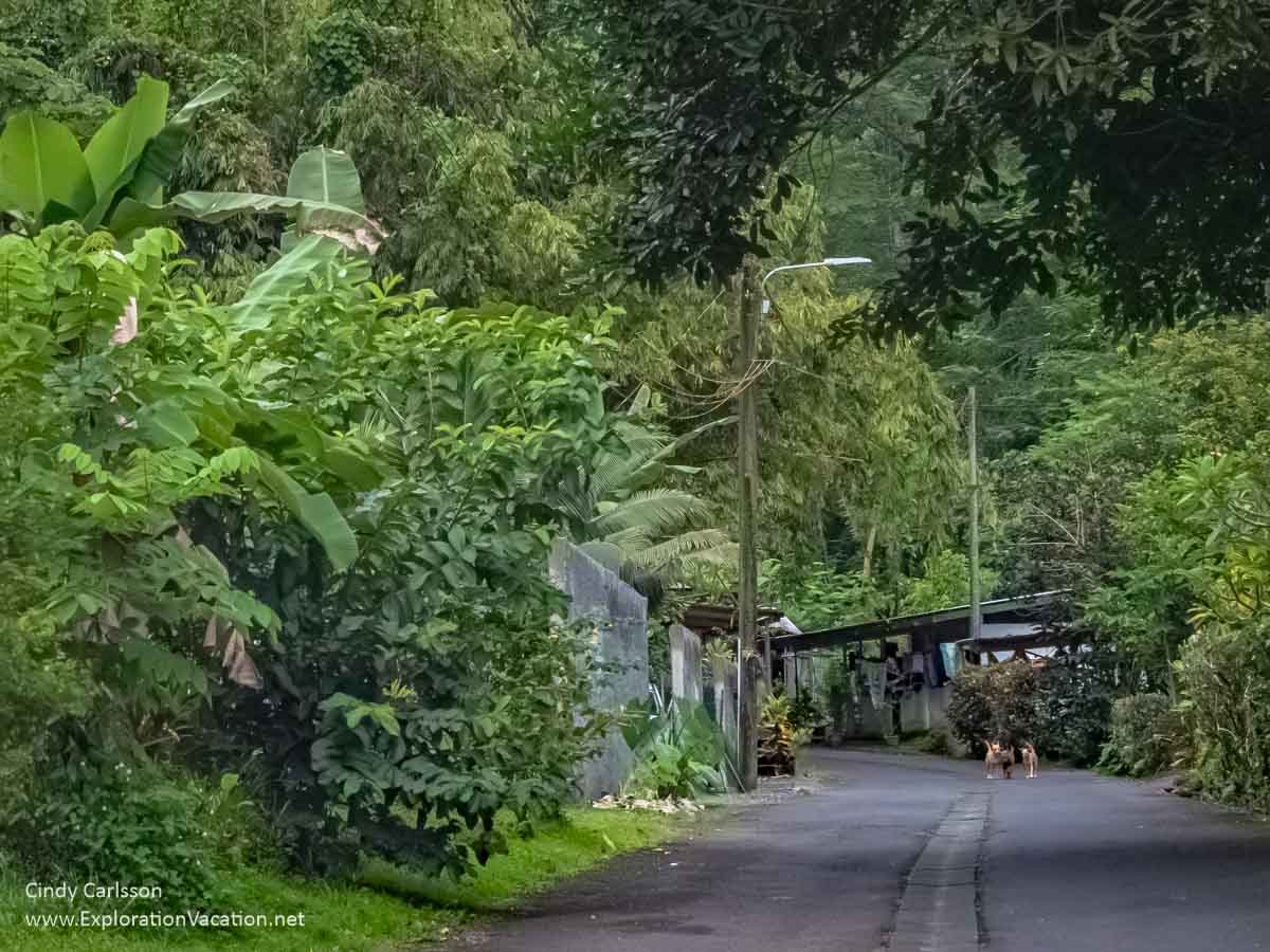 photo of the road into Fa'aruma'i Waterfalls on Tahiti's scenic east coast in French Polynesia &copy; Cindy Carlsson at ExplorationVacation