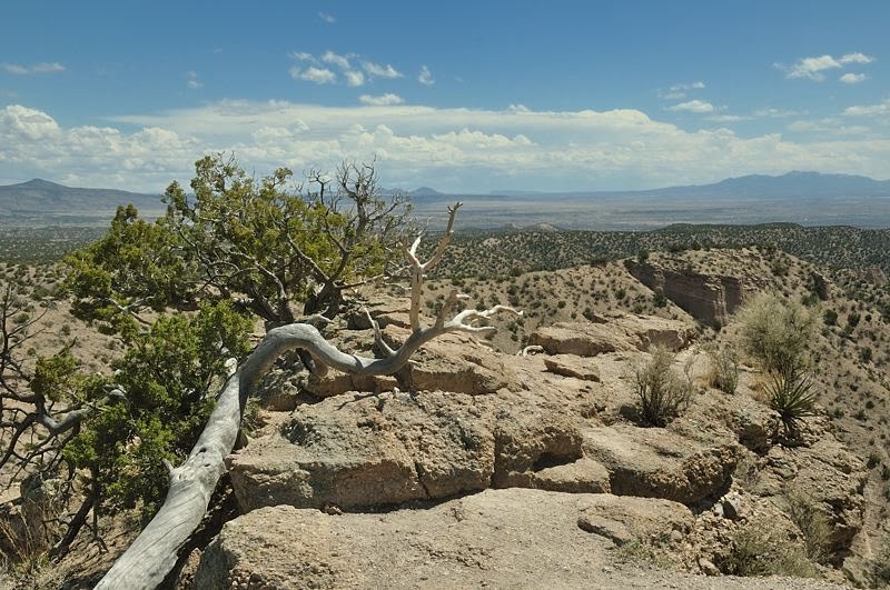 vistas from the Canyon Trail
