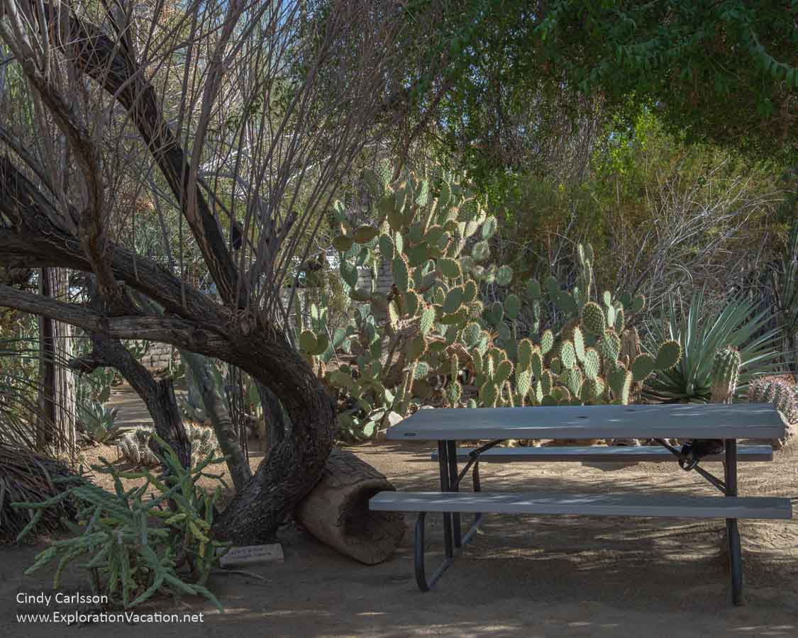A shaded picnic table at the Moorten Botanical Garden.