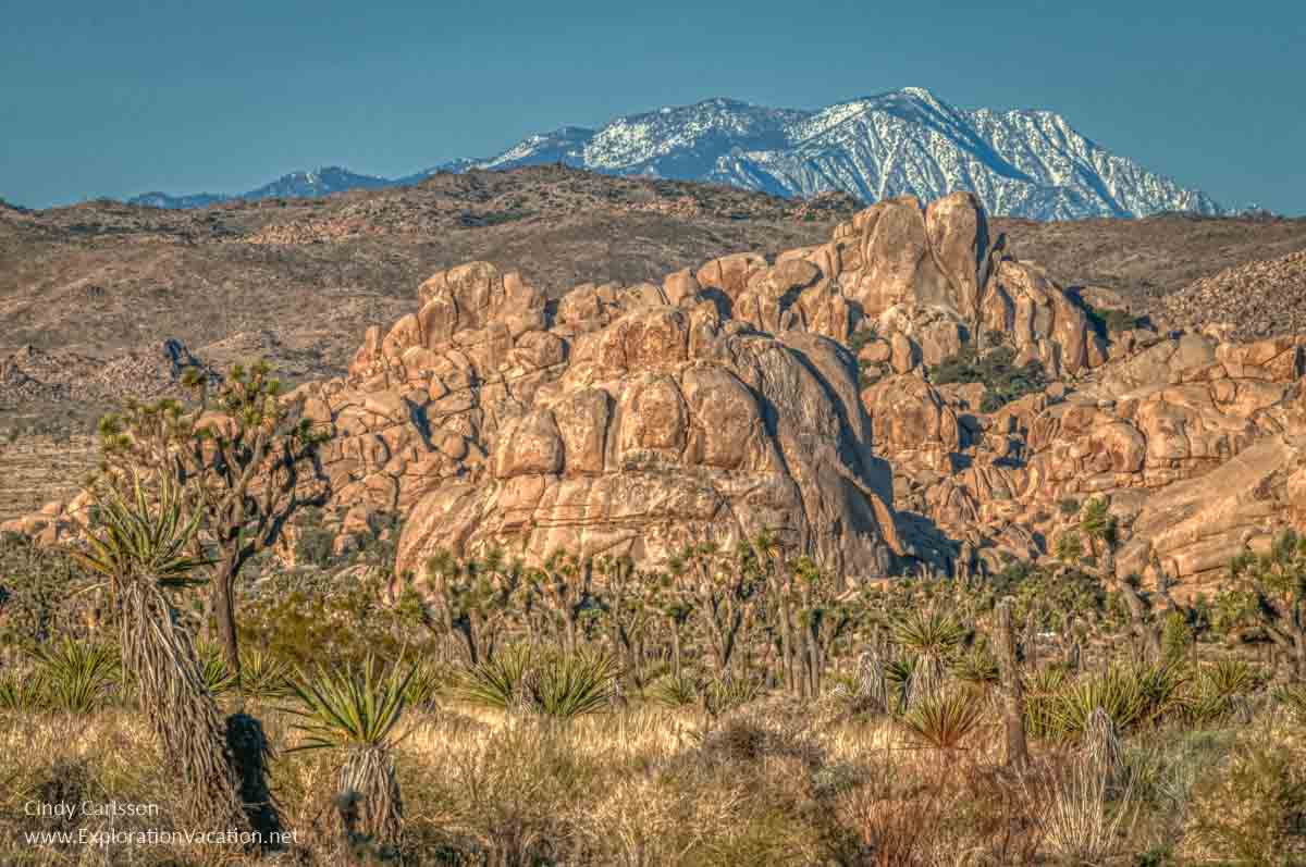landscape with mountains at Joshua Tree National Park