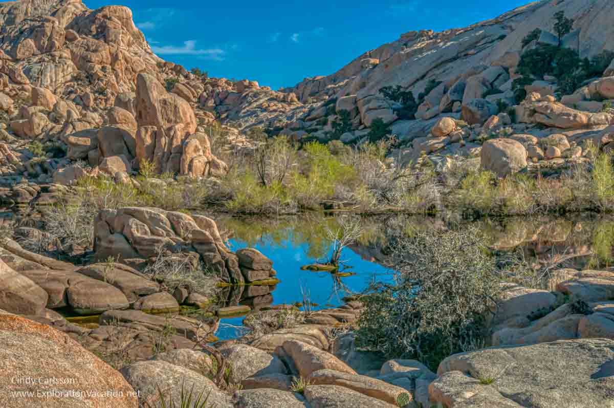 Lake with rock in Joshua Tree