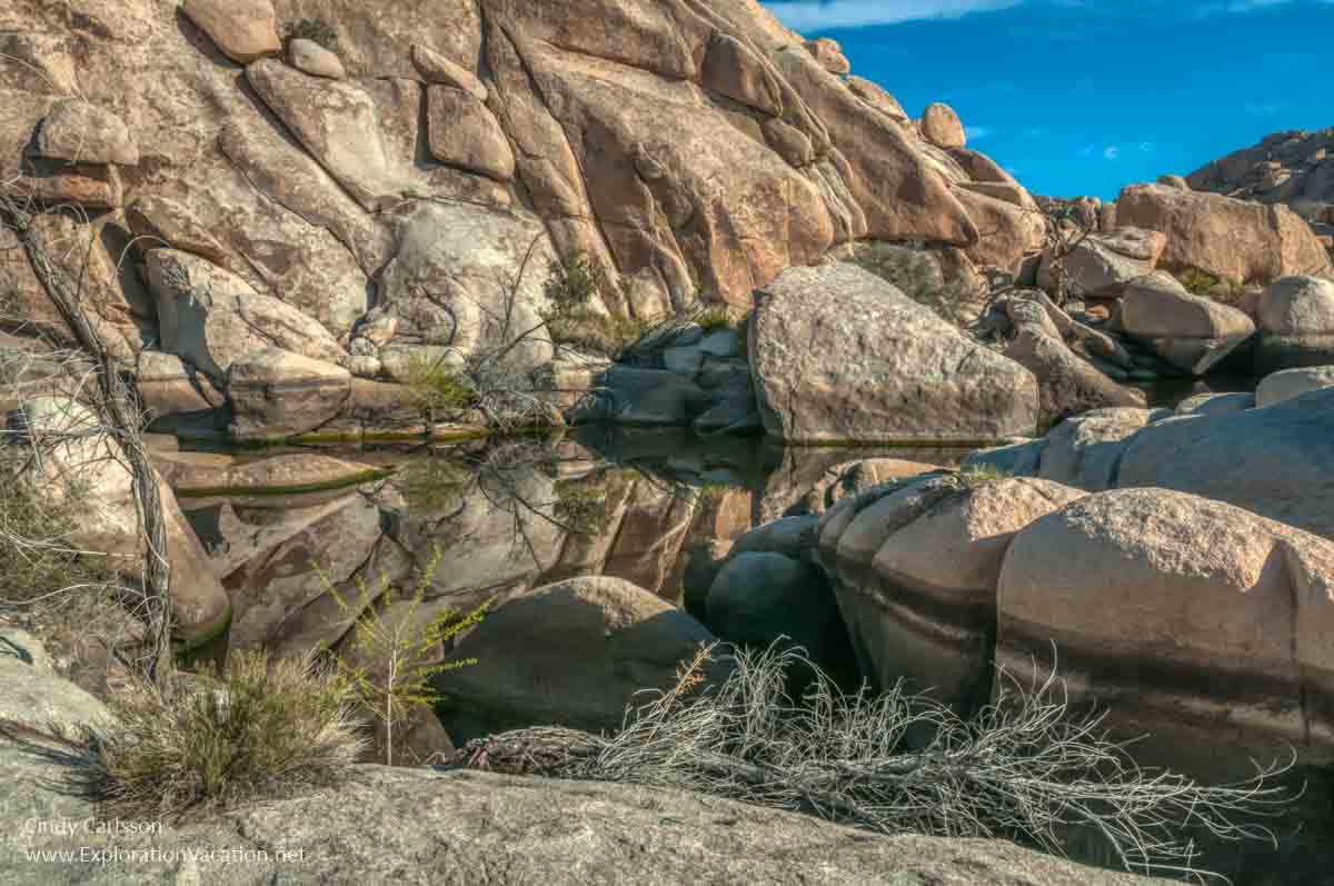 Lake with rock in Joshua Tree