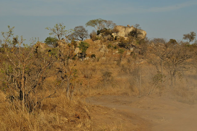Kruger National Park, South Africa - ExplorationVacation.net