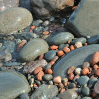 Smooth rocks of all sizes on the beach.