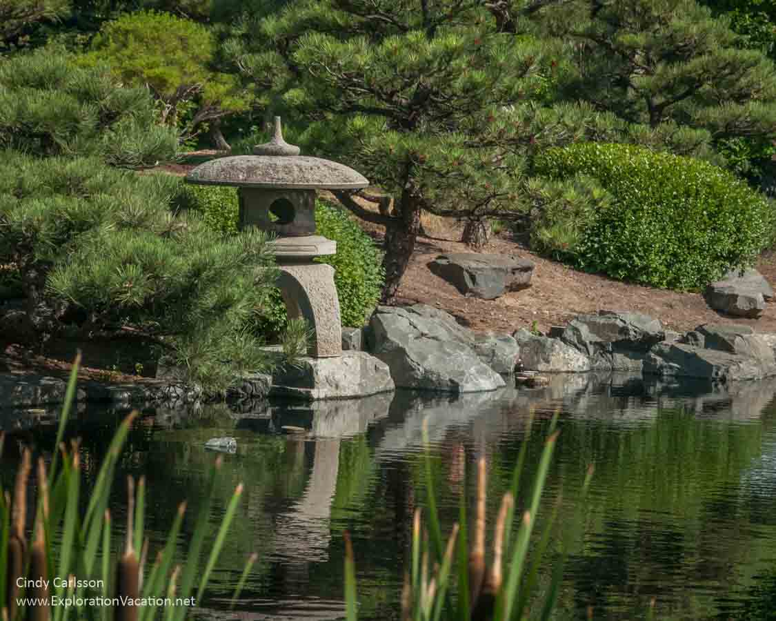 photo of lantern and pond in the Japanese Garden at the Denver Botanic Garden in Colorado 