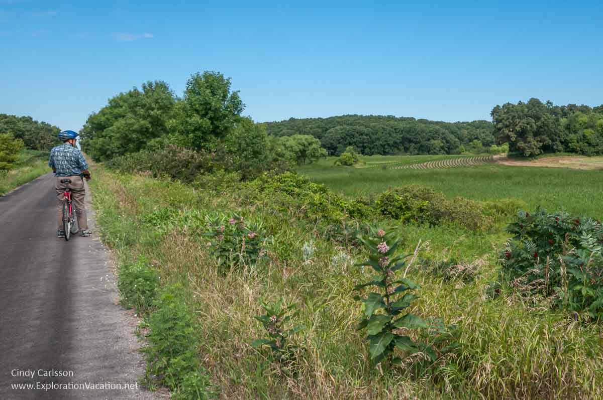 man with a bike looking at farmland and woods