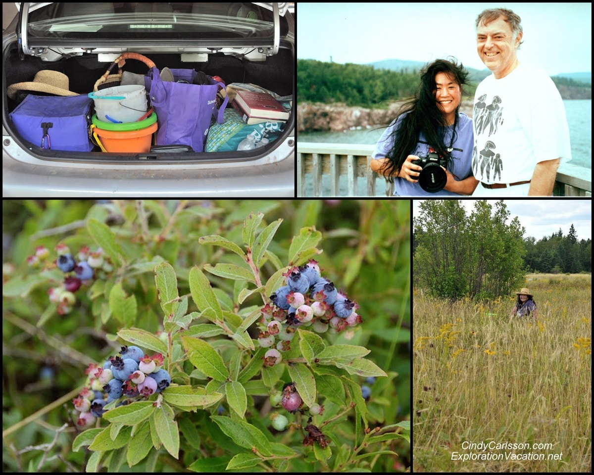 collage of pictures of berries, buckets and people