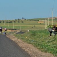 bikes and field workers along the road in Morocco