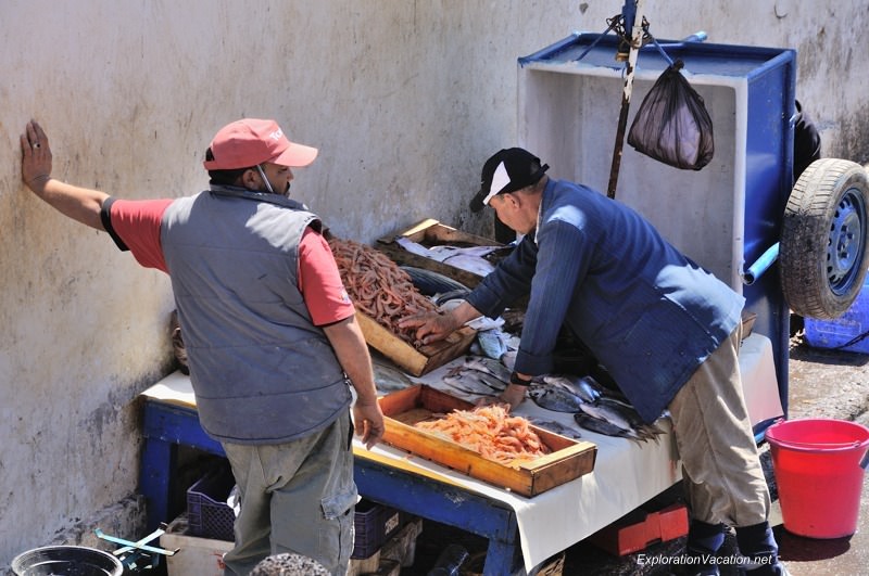 Essaouira fish market 34 DSC_8495 Morocco
