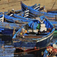 blue fishing boats in Essaouira Morocco
