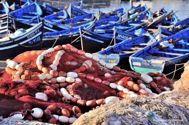 Essaouira fishing 28 DSC_8268 Morocco