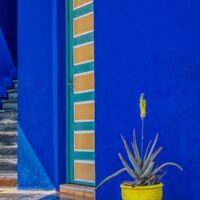 blue and yellow at majorelle garden marrakech morroco