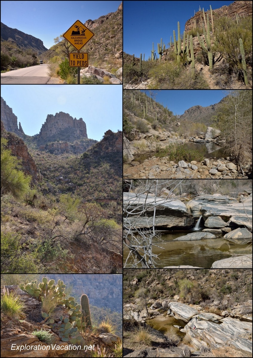 Sabino Canyon collage