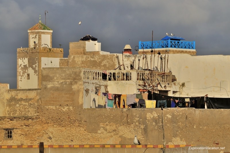 Essaouira - view of the roof of Taros Cafe  DSC_8068