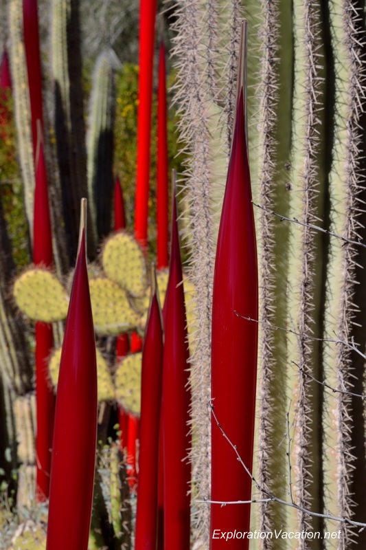 20140217-DSC_6298 Chihuly at the Desert Botanical Garden in Phoenix Arizona