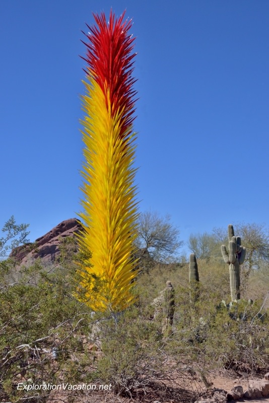 Chihuly at the Desert Botanical Garden Phoenix Arizona 1 20140217-DSC_6243