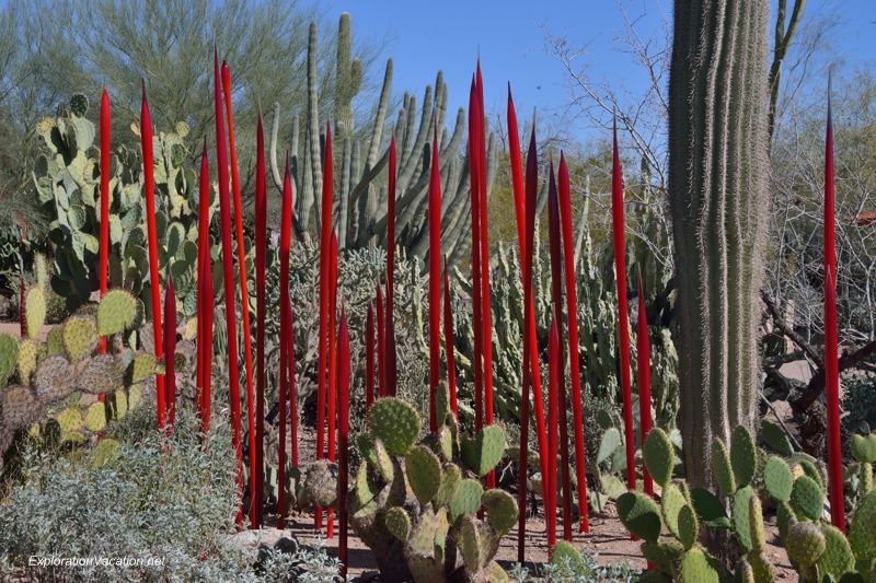 Chihuly at the Desert Botanical Garden Phoenix Arizona 14 20140217-DSC_6177
