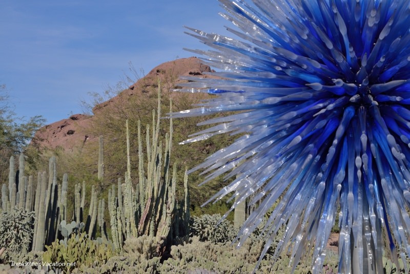 Chihuly at the Desert Botanical Garden Phoenix Arizona 18 20140215-DSC_5427