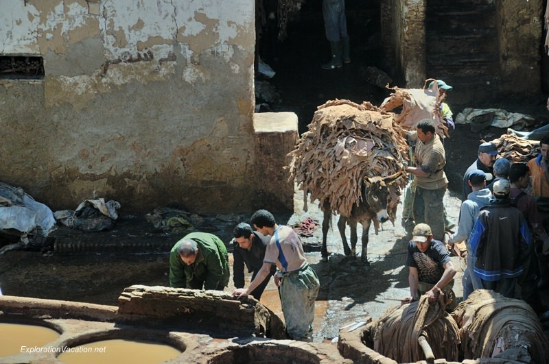 Tannery in Fes Morocco -14 DSC_1721