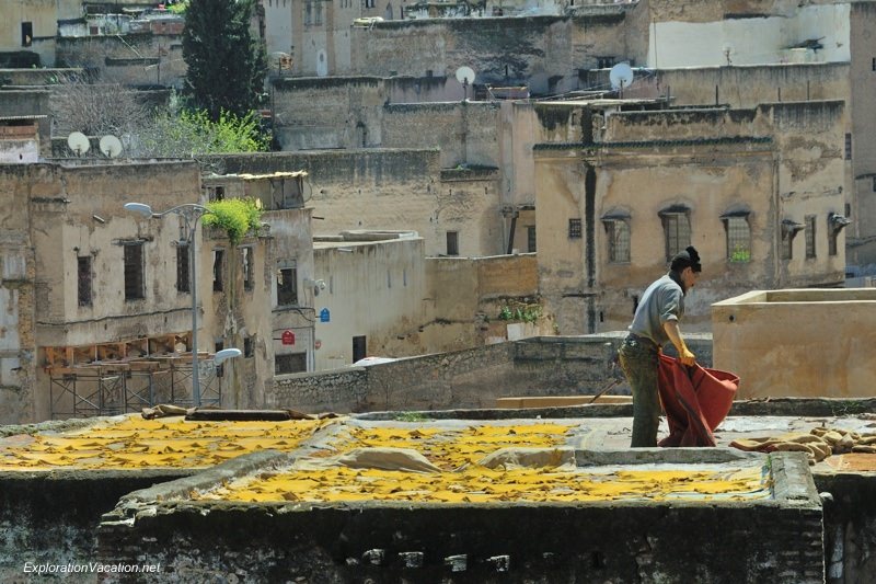 Tannery in Fes Morocco -18 DSC_1667