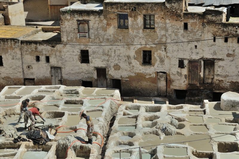 Tannery in Fes Morocco -22 DSC_1704